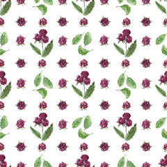 Watercolor seamless pattern with various berries, red currants, blackberries, blueberries and cherries