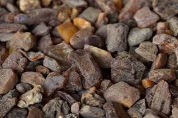Raw Natural Baltic Amber Loose Pieces. Unpolished