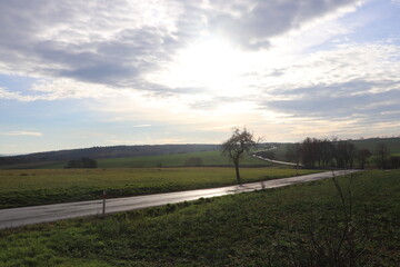 landscape with windmill