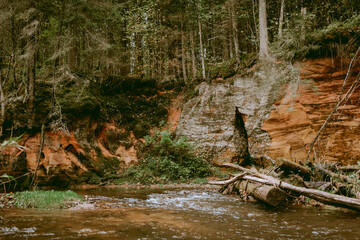 Sandstone cliffs by the river Ligatne hiking trail in the scenic forest with fallen leaves and trees near Ligatne, Latvia
