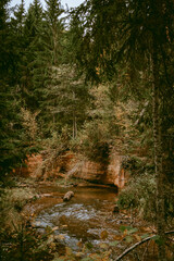 Sandstone cliffs by the river Ligatne hiking trail in the scenic forest with fallen leaves and trees near Ligatne, Latvia