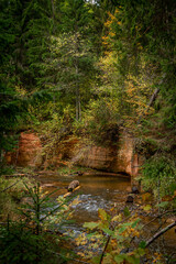 Sandstone cliffs by the river Ligatne hiking trail in the scenic forest with fallen leaves and trees near Ligatne, Latvia
