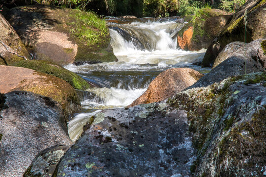 stream in the forest / Kremelna river, Sumava, Czech Republic