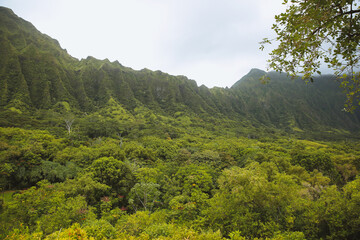 Fototapeta na wymiar Hoomaluhia Botanical Garden, Koolau Range ,Oahu Hawaii