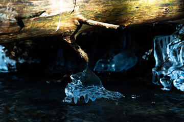Ice crystals on roots and branches in a stream in the Westerwald, Germany