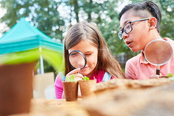 Kinder schauen neugierig durch Lupe im Ferienlager