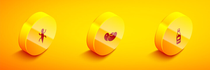 Set Isometric Lizard, Beans and Tabasco sauce icon. Vector.