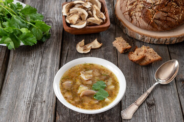Mushroom soup from forest porcini mushrooms on a wooden background.