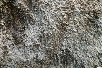 The surface of the carpet has dark hair.