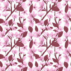 Cherry blossom flowers vector seamless pattern. Pink blooming flowers on white background. Gentle spring floral seamless pattern.