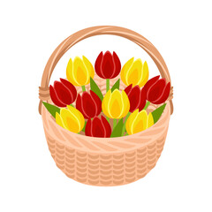 Vector basket with yellow and red tulips isolated on white. Icon. Cartoon flat bright spring flowers.
