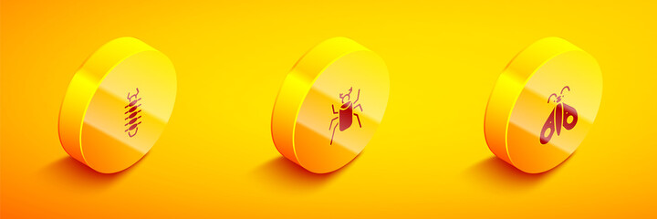 Set Isometric Centipede, Beetle bug and Butterfly icon. Vector.