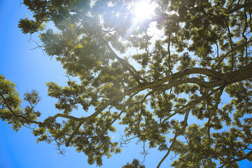 Waiahole Beach Park, Kualoa Kaneohe Bay Oahu island Hawaii | Sea Nature Ocean Landscape Travel Photography


