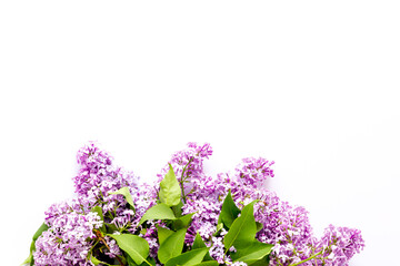 Flat lay of spring lilac flowers. Purple flowers with copy space, top view
