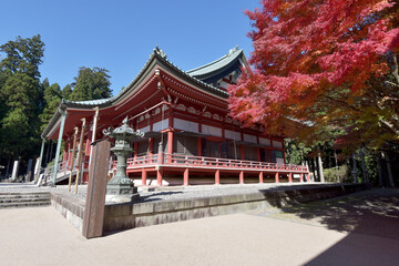 Fototapeta premium 秋の比叡山延暦寺 大講堂 滋賀県大津市