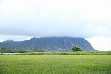 Waiahole Beach Park, Kualoa Kaneohe Bay Oahu island Hawaii | Sea Nature Ocean Landscape Travel Photography

