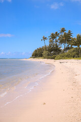 Waialae Beach Park Honolulu Oahu Hawaii | Sea Nature Ocean Landscape Travel Photography 