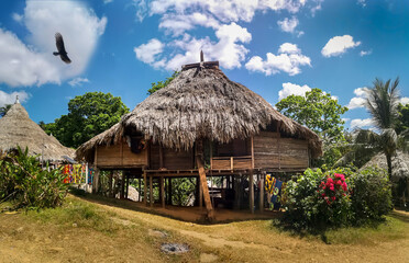 Fototapeta na wymiar Traditional house of Embera tribe in Panama with Eagle flying above the house. Blue sky with white clouds above, and green garden flowers in front of the house