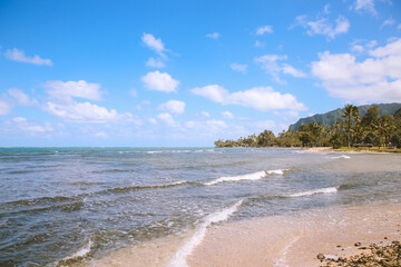 Punaluu Beach Oahu Hawaii
