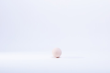 egg on a white background