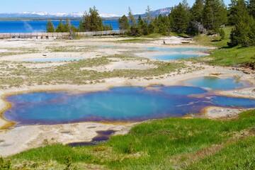 Abyss Pool a hot spring of the West Thumb Geyser Basin, Yellowstone National Park, Wyoming, USA