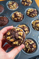 Woman's hand holding healthy gluten free chocolate muffin with walnuts. Homemade, freshly baked goods with cocoa powder and dark chocolate placed in a muffins tray in the background. Nutrition concept