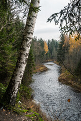 Aerial shot of the Amata river during cloudy and gloomy autumn day in Latvia