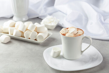 Fototapeta na wymiar Hot chocolate with marshmallows.