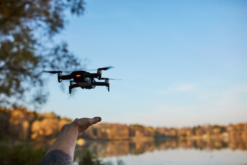 silhouette of a drone and tree