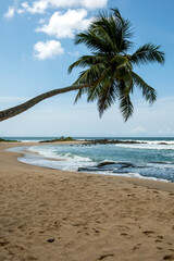 A palm tree hangs over a sandy beach in the Tangalla region of southern Sri Lanka.