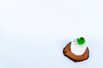 Mini Cactus Succulents in a white pot and white stones on a bright white flat lay background