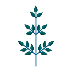 Simple minimalistic green branch of tree with leaves. Floral collection of elegant plants for seasonal decoration . Stylized icons of botany. Stock vector illustration in flat style isolated on white