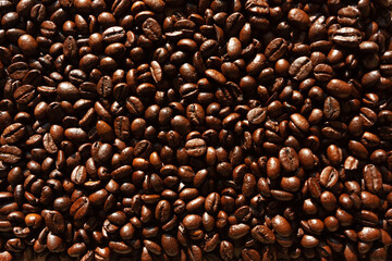 Close-up of roasted coffee beans. Solid background.