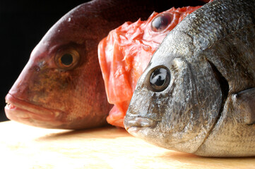 red snapper bream and redfish three freshly caught fish with cutting light and profile