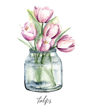 Tulips flower in glass jar watercolor painting. Floral illustration isolated on white. Perfectly for stickers, poster, greeting design.