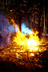 Fire in the forest, at night. Close