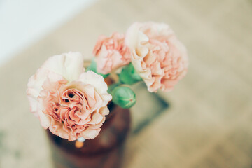 カーネーション