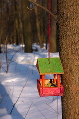 colorful bird feeder on a tree in the park