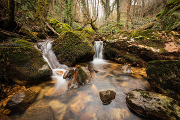 Obraz premium Small river in a humid forest. Zirauntza river. Spain
