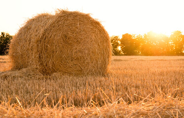 bale of wheat straw on the field