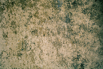 Pictures of old concrete walls. Can be used as background or texture.