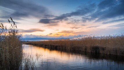 dramatic sunset on a canal at lake Neusiedlersee with reeds on the shore