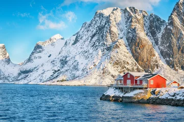 Poster Reinefjorden Traditional Norwegian red wooden houses on the shore of  Reinefjorden on Toppoya island