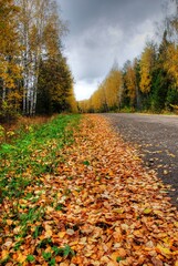 Autumn forest with road 