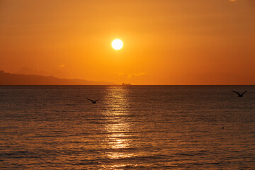 a cargo ship passes at the first light of the new day in the distance setting sail from the coast of Calabria