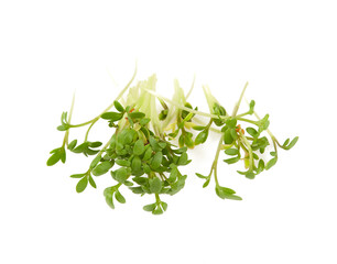 Fresh Watercress isolated on white background