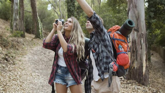 Backpackers with photo camera taking pictures of forest landscape, while walking on path, enjoying outdoor vacation and healthy recreation. Adventure travel concept