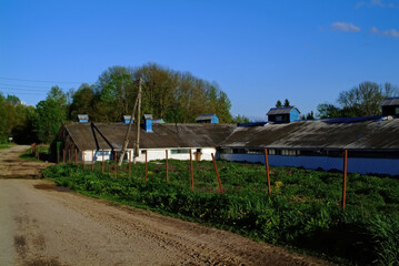 Fototapeta na wymiar Dairy Farm Buildings in Spring