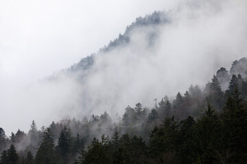 Ein Berghang wird von Wolken durchzogen