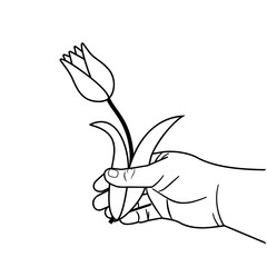 Tulip in the hand of a man black outline vector isolated illustration